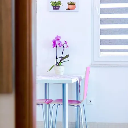 Family With Huge Terrace And Hot Tub - Franka Apartment *